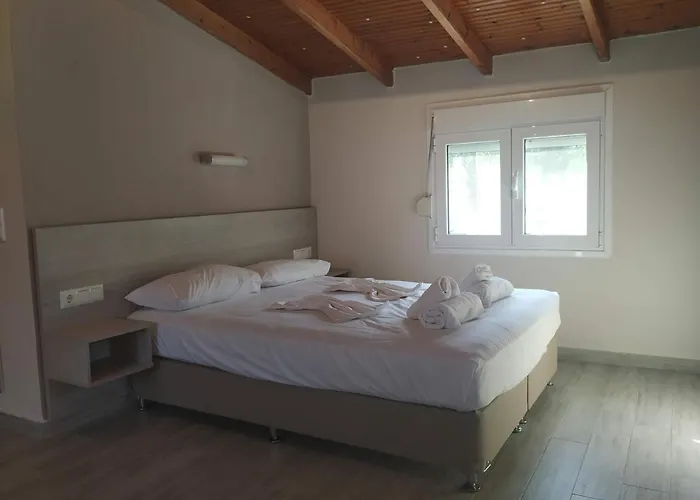 Karantola Kallirachi