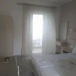 Karantola Kallirachi