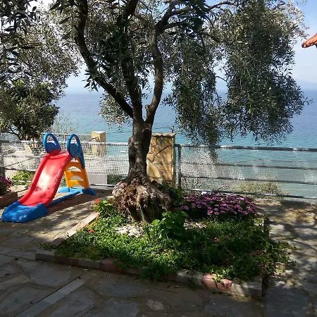 Karantola Kallirachi *