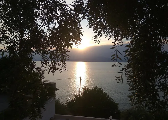 Karantola Kallirachi